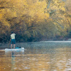 Отель Wrong Way River Lodge & Cabins, фото 16