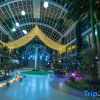 Отель Qinjin International Hotel, фото 7