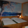 Отель B Rgchutzli 1 Stock Adelboden, фото 10