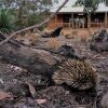 Отель Kangaroo Island Wilderness Retreat, фото 11