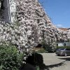 Отель Gästehaus Gutensohn, фото 23