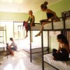 Отель Howler Monkey Hostel DownTown, фото 23