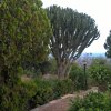 Отель House with One Bedroom in Marina di Caronia, with Wonderful Sea View And Furnished Terrace - 200 M F, фото 20