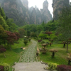 Отель Zhangjiajie Yalin Express Hotel, фото 11