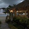 Отель Comfy Stay In Jamaica -enjoy 7 Miles Of White Sand Beach! 2 Bedroom Villa by Redawning, фото 6