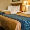 Отель Comfort Inn & Suites Diamondale – Lansing, фото 37