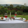 Отель Tree of Life Resort & Spa, Jaipur, фото 11