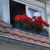 Отель Gästezimmer Batavia, фото 1