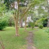 Отель Romantic Cottage in Washington Historic District, фото 12