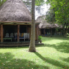 Отель Rusinga Island Lodge, фото 42