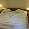 Отель Amazon Green Hotel - Hostel, фото 21