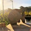 Отель Pousada Villa Canaã, фото 17
