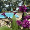 Отель Recanto das Orquídeas Hospedagem., фото 28