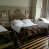 Отель New Arapey Hotel, фото 5