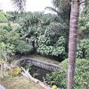 Отель Overlooking Lagoon at Sitio de Amor, фото 25