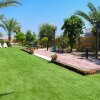 Отель Suites in the Galilee, фото 15