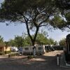 Отель Camping village Internazionale, фото 39