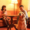 Отель Izumigo Takayama Dog Paradise Hotel, фото 4