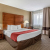 Отель Comfort Inn South, фото 3