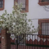 Отель La Casa de Camponubes, фото 1
