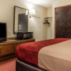 Отель Econo Lodge Richburg, фото 4
