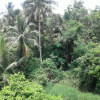 Отель Boonmee Court 2, фото 11