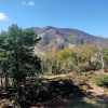 Отель Madarao Mountain Lodge, фото 44