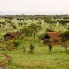 Отель Robanda Safari Camp, фото 11