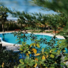 Отель Olive Nature Hotel & SPA - Quinta Valle de Passos, фото 34