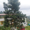 Отель JRS Guest House, Kodaikanal, фото 21