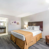 Отель Quality Inn & Suites By the Parks, фото 6