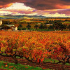 Отель Rivergum Cottages Gawler Barossa Region, фото 11