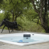 Отель Villa Scarabee Wonderful Luxury Villa in the Middle of Nature, фото 17
