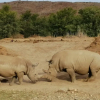 Отель Sanbona, фото 6
