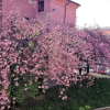 Отель Casa Agnese, фото 19