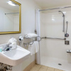 Отель The Buena Park Hotel & Suites, фото 9