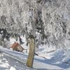 Отель Cottage in Black Forest Near ski Slopes, фото 9