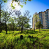 Отель Condominio Resort Thermas Do Bosque, фото 1