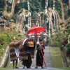 Отель The Kuta Beach Heritage Hotel Bali - Managed By AccorHotels, фото 36
