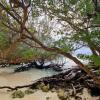 Отель Fehendhoo Stay, фото 17