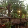 Отель Sapmanee Resort, фото 9