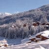 Отель Traditional Chalet in the Large 3 Vallées Near the Slopes, фото 11