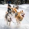 Отель Camp North Tour, фото 9