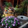 Отель Tingyun Shanju Inn, фото 19