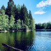 Отель Tranquil Lakeside Cottage Retreat, фото 19