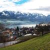 Отель Sarnen Apartment 1, фото 10