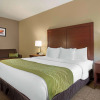 Отель Comfort Inn US 60/63, фото 6
