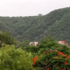 Отель OYO 17340 Home Lively Stay Jawahar Nagar, фото 17