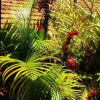 Отель TGS Homestay, фото 2