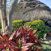 Отель Beautiful 2-bedroomed Guest Cottage in Harare, фото 25
